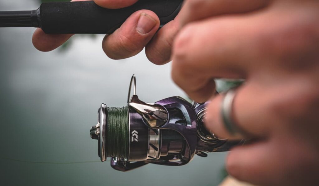 Performance and Smoothness of daiwa regal spinning reel