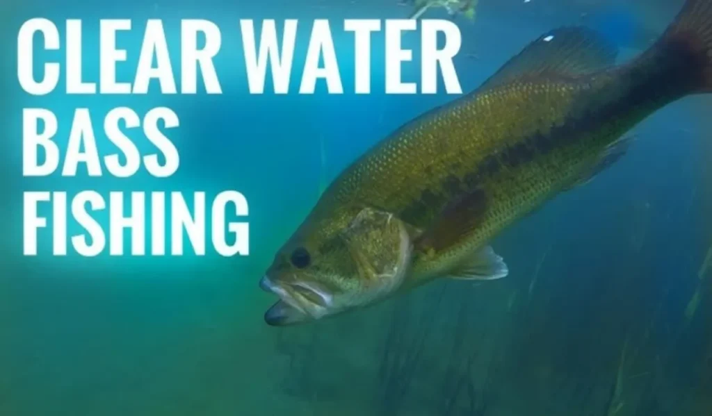 How to Fish in Shallow Water: Ultimate Guide for Beginners 2 Reading Shallow-Water Structures