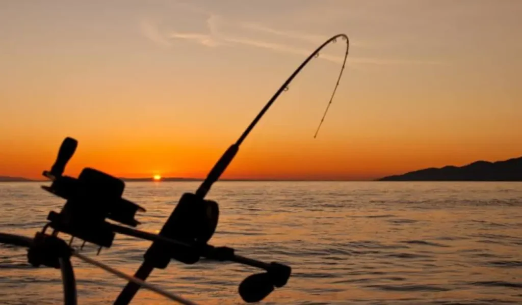 Rod Action for Beginners