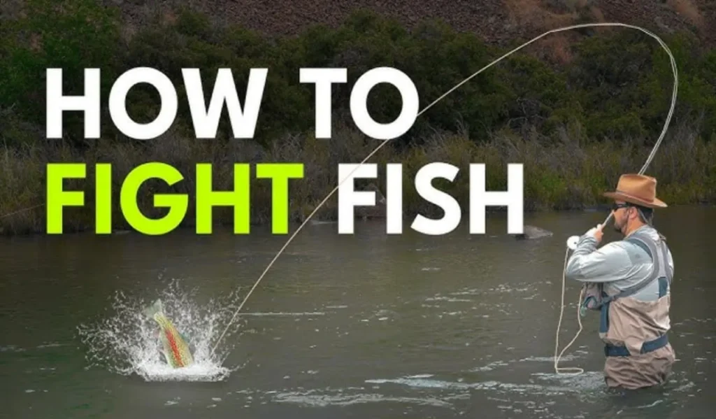 Seasonal Weather Impact On Fishing