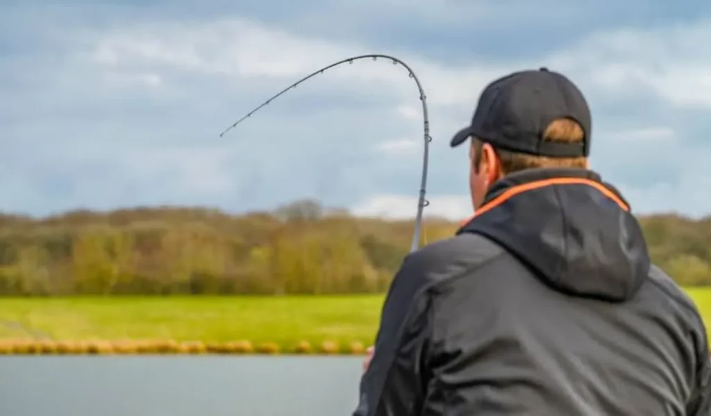 Spinning Rods for Beginners