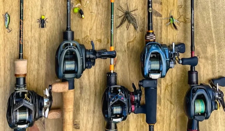 Spinning vs Baitcasting Reels
