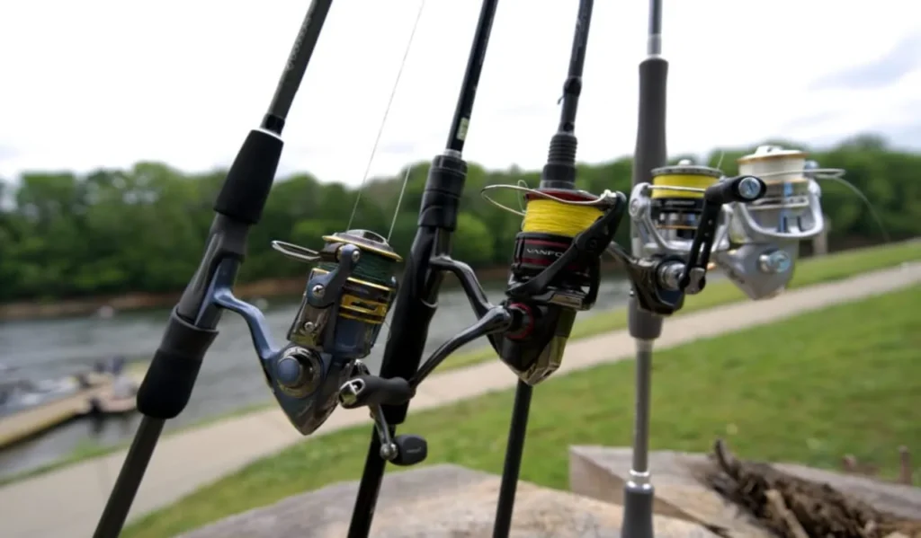 Surf Rod vs Spinning Rod Compared