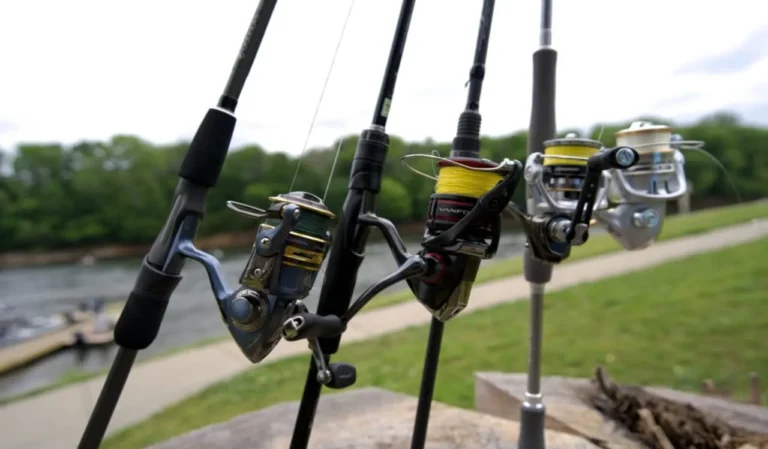Surf Rod vs Spinning Rod Compared
