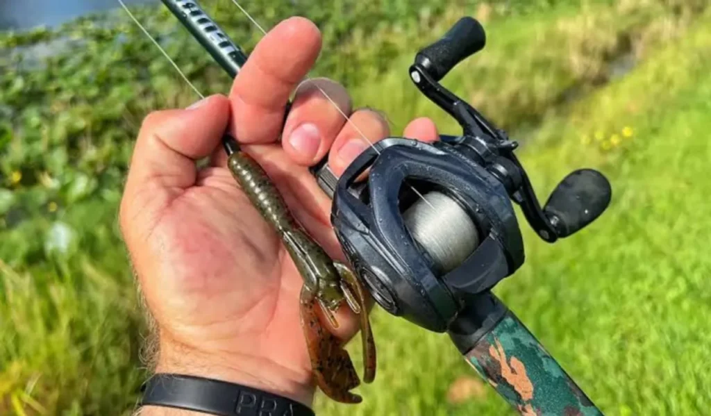 Cheap vs Expensive Fishing Reel: Ultimate Guide for Beginners 1 What Is an Expensive Fishing Reel