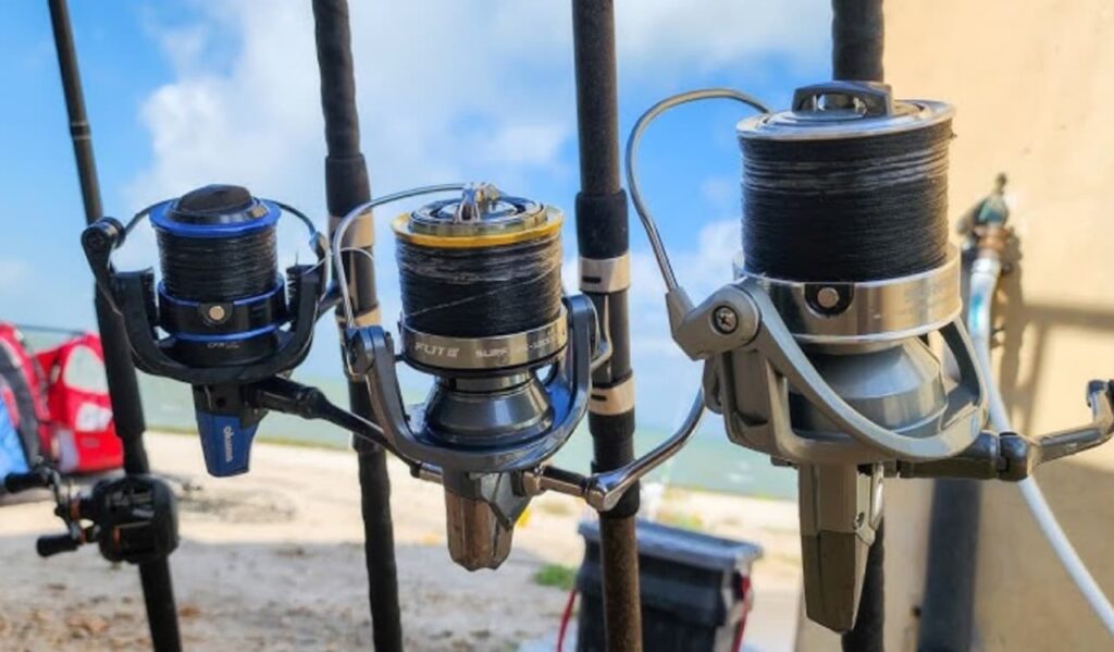 Which Rod Should You Choose