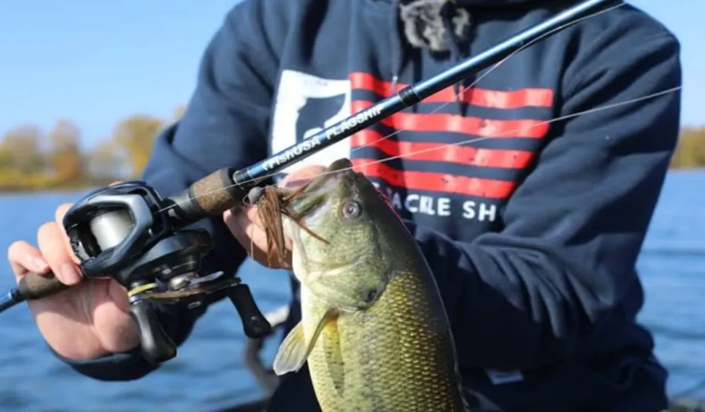 Fishing Environment and Rod Action