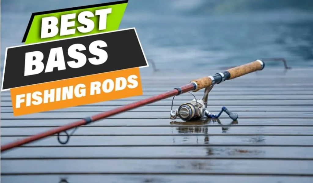 How to Test Fishing Rod Sensitivity: Ultimate Guide for Beginners 2 Rod Action and Sensitivity Testing